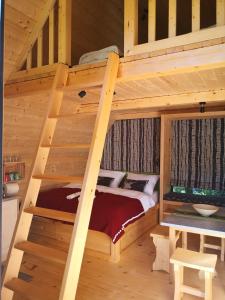 a loft bed in a log cabin with a bed at Mountain lodge Forte Emilia in Kobarid