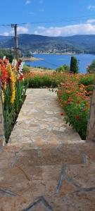 Afbeelding uit fotogalerij van Vila Vera Borsko Jezero in Bor