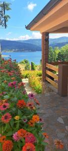 Afbeelding uit fotogalerij van Vila Vera Borsko Jezero in Bor