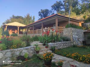 a house with a garden in front of it at Vila Vera Borsko Jezero in Bor