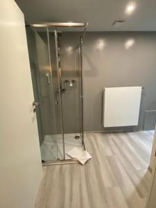 a shower with a glass door in a room at Grünes Allgäu in Opfenbach +21 photos