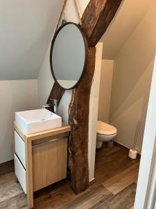 een badkamer met een spiegel en een wastafel bij Le Domaine des Bois in Blangy-le-Château