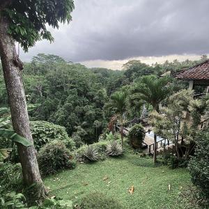 - un jardin avec vue sur la forêt dans l'établissement Chalet Rabina, à Ubud