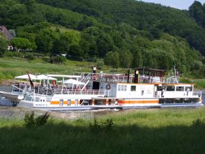 um ferry-boat na água num rio em Fewo Rasche zum Träumen em Beverungen