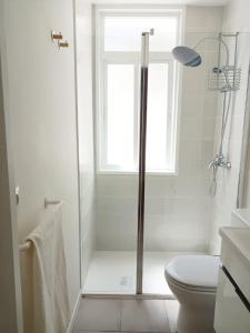 a bathroom with a shower with a toilet and a window at AREAS NEGRAS- Apartamento centro de Cedeira. in Cedeira