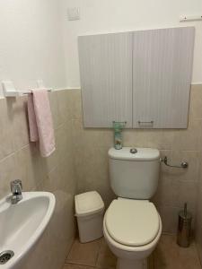 ein Badezimmer mit einem weißen WC und einem Waschbecken in der Unterkunft Très bel appartement entier proche de la mer 2 chambres 1 salon in Vallauris