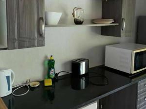 uma cozinha com um balcão preto e um micro-ondas em Kanimambo Chalet em Marloth Park