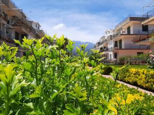 マスカリにあるAl giardino Sant'Annaの建物を背景に庭園を望む