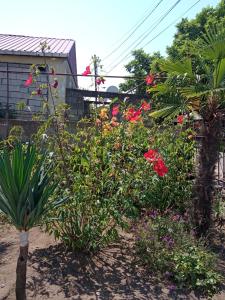 Giardino di Likas haus