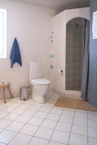 een badkamer met een toilet en een douche bij Noah's Ark in Klitmøller