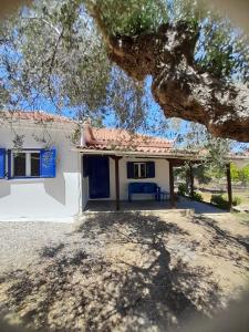 a small white house with blue windows and a tree at Stafida Guesthouse - Myrtò in Finikounta