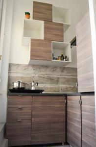a kitchen with wooden cabinets and a sink at AmoRoma Vatican in Rome