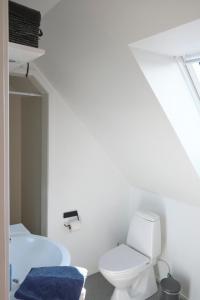 een badkamer met een toilet en een wastafel bij Noah's Ark in Klitmøller