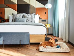 Una cama o camas en una habitación de Kimpton Vividora Hotel by IHG