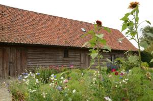 Ein Garten an der Unterkunft B&B De Hulst