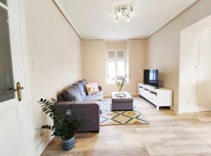 Televízia a/alebo spoločenská miestnosť v ubytovaní Apartamento Itsasoa Barrika