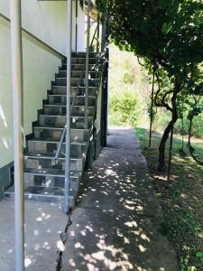 um conjunto de escadas ao lado de um edifício com árvores em Holiday Home 108 em Bezdan