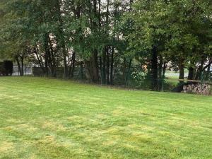 un campo de césped verde con árboles y una valla en La Maison des bois, 