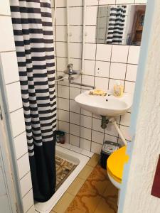 a bathroom with a sink and a shower curtain at Holiday Home 108 in Bezdan