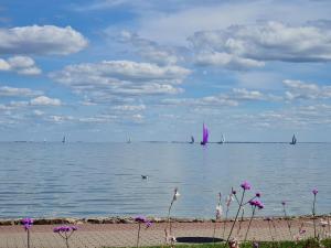 a body of water with boats in the water with purple flowers at Nida Amber in Nida