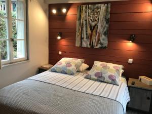1 dormitorio con 1 cama con 2 almohadas en La tanière des ours, en Chaumont-sur-Tharonne