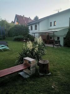 Zahrada ubytování Apartmán Ústie