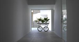 un vélo garé dans un couloir avec une plante en pot dans l'établissement Hotel & Spa Alfandega da Fe, à Sambade