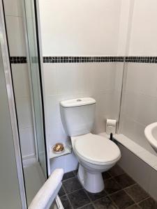 a bathroom with a toilet and a shower and a sink at Devonshire Arms Inn in Cracoe