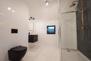 a bathroom with a toilet and a glass shower at Apartamenty Nadrzeczna nad Wisłą - Dream Apart in Ustroń