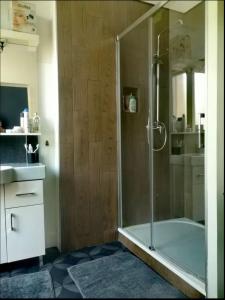 マルセイユにあるGrand Appartement haussmannienのバスルーム(ガラスドア付きのシャワー付)