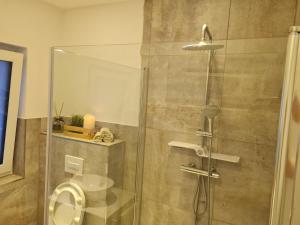 y baño con ducha de cristal y aseo. en Penthaus, en Soltau