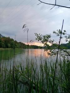 a view of a body of water with grass at Pension Ferienwohnung Pirhofer in Kramsach