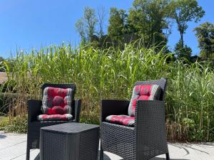 Schorndorf的住宿－Holiday Home Ederer by Interhome，两把椅子和一张桌子,在一些高大的草地前面