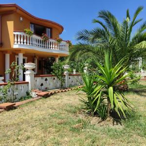 a house with a palm tree in front of it at Villa Di Gioia in Caccuri