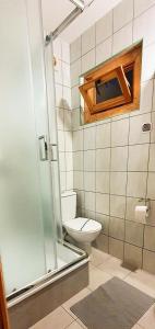 a bathroom with a toilet and a glass shower at Ośrodek Edward in Nickelswalde