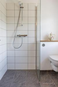uma casa de banho com um chuveiro e um WC. em Ragnhilds Gård, Hostel em Nyord