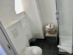 un piccolo bagno con wc e doccia di Le P'tit Charmant : centre historique de Dijon a Digione Altre 13 foto