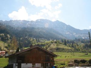 a house in a field with a mountain in the background at Apartment Chalet Bifigen by Interhome in Kandergrund