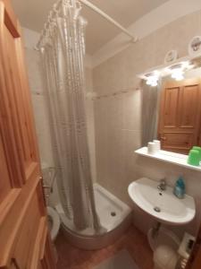 La salle de bains est pourvue d'une douche, de toilettes et d'un lavabo. dans l'établissement Apartments by the sea Merag, Cres - 11791, à Cres