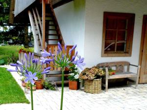 A garden outside Chalet in Feistritz near Petzen Ski Area