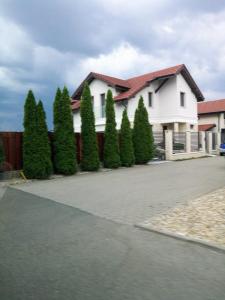 Gallery image of Stunning fully furnished vila luxurious neigbourhood 3 bedrooms in Satu Mare