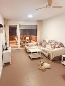 ein Schlafzimmer mit 2 Betten und ein Hund auf dem Boden in der Unterkunft Precioso apartamento en Las Negras in Las Negras