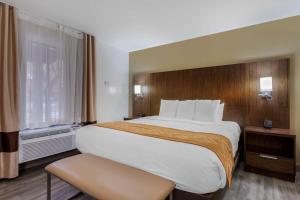 Comfort Suites at Sabino Canyon في توسان: غرفة فندقية بسرير كبير ونافذة