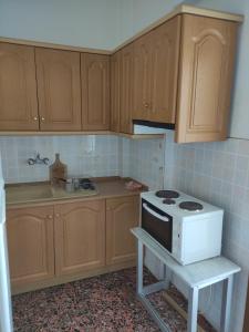 Η κουζίνα ή μικρή κουζίνα στο Olympus apartments