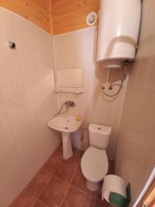 een kleine badkamer met een toilet en een wastafel bij Вилно селище МИРОВЕЦ in Malŭk Izvor