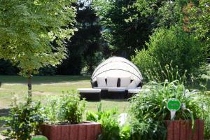 Zahrada ubytování Hotel Im Kräutergarten