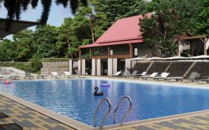 a swimming pool with two swans in the water at Voevodyno Resort in Turʼya Paseka