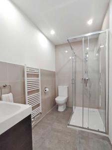 a bathroom with a shower and a toilet at Pied à Terre Saulieu in Saulieu