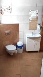 a bathroom with a toilet and a sink at U Ani in Poronin