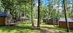 un grupo de lodges en el bosque con árboles en Przystań Narie en Kretowiny